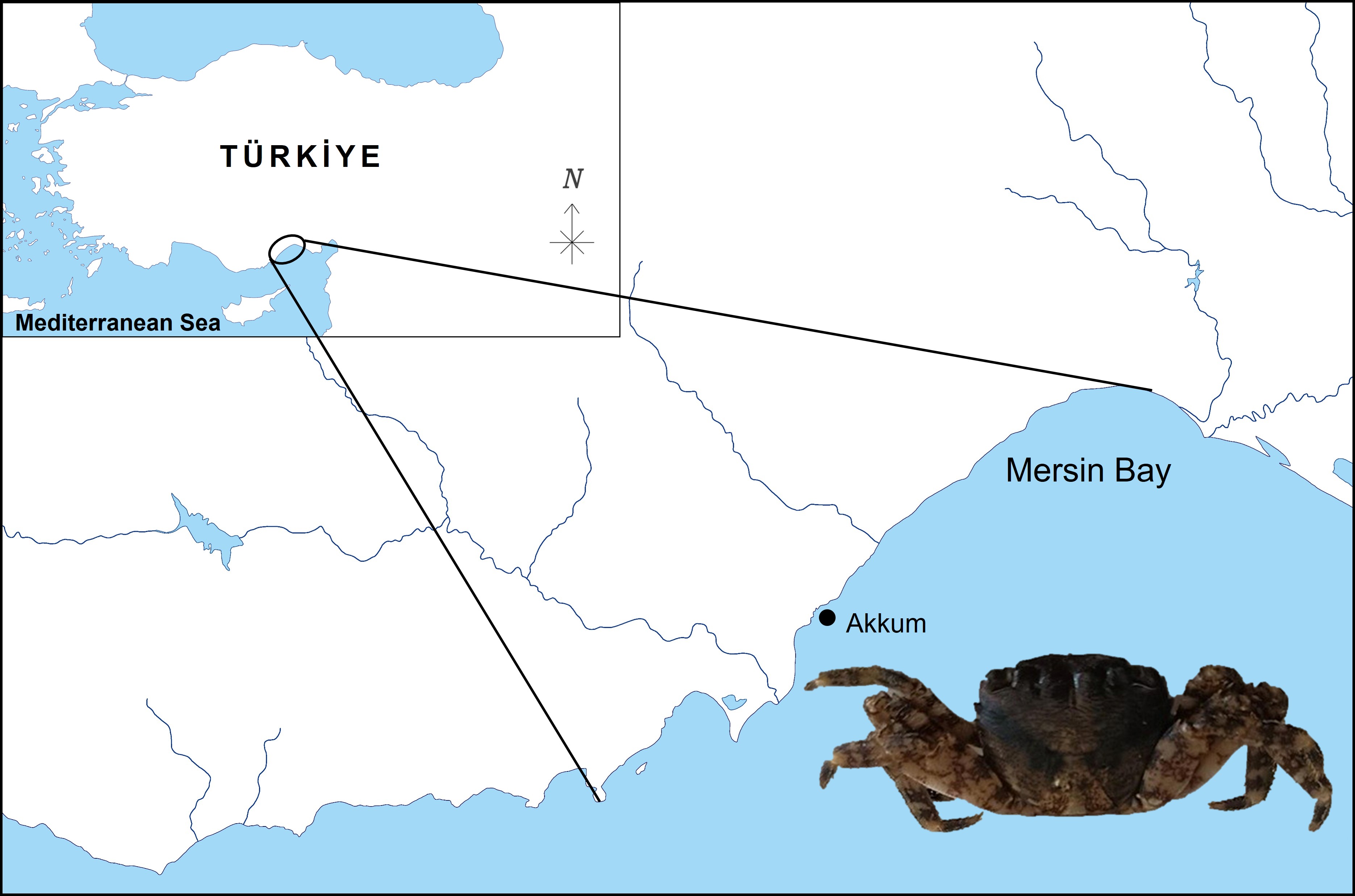 Sample of an image from paper